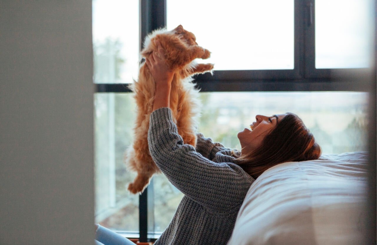 Evde Kedi Beslemenin İnsan Sağlığına Faydaları: Neden Bir Kedi Sahibi Olmalısınız?
