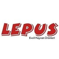 Lepus
