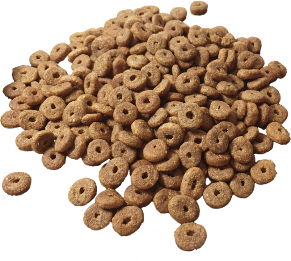 Mera All Cats Adult Tahılsız Taze Somon Balıklı Kedi Maması 10 Kg