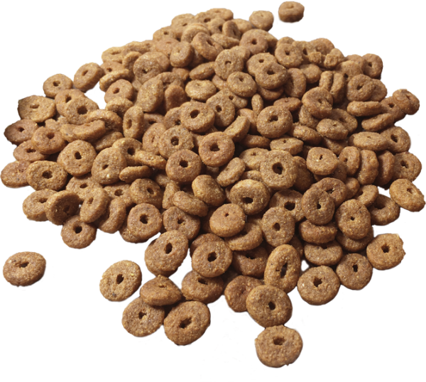 Mera Sensitive Adult Insect Tahılsız Larvalı Hassas Yetişkin Kedi Maması 2 Kg