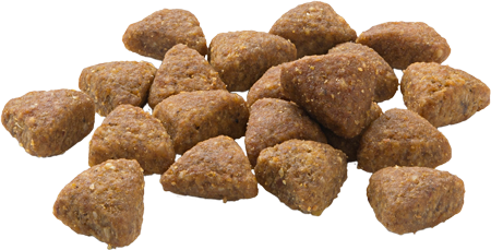 Mera Senior Beef Tahılsız Taze Sığır Etli Yaşlı Kedi Maması 2 Kg