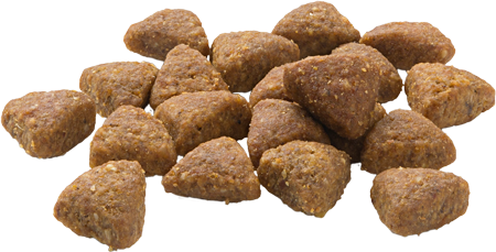 Mera Senior Beef Tahılsız Taze Sığır Etli Yaşlı Kedi Maması 2 Kg