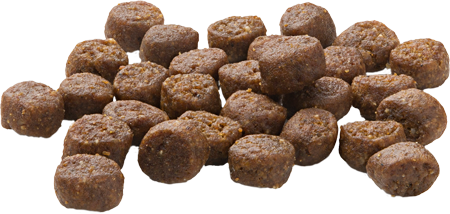 Mera Finest Fit Kitten Taze Tavuk Etli Yavru Kedi Maması 1.5 Kg